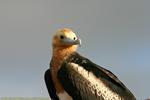2005_11_18/IMG_3064