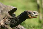 2005_11_21/IMG_4180