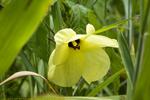 Plants/IMG_7377