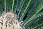 CozumelFF/IMG_0423