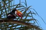 Iguazu/IMG_9512