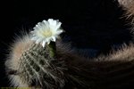 2017_11_27/4B3B7046