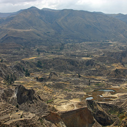 Peru - South  Coast