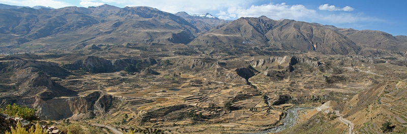 Colca Panorama