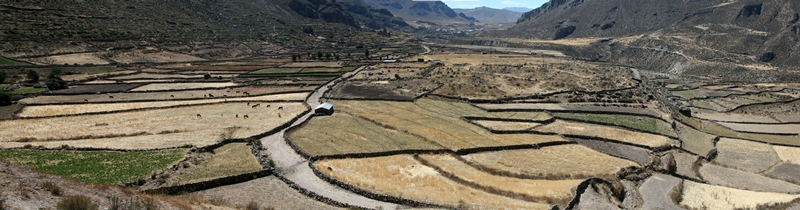 Colca Panorama
