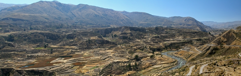 Colca Panorama