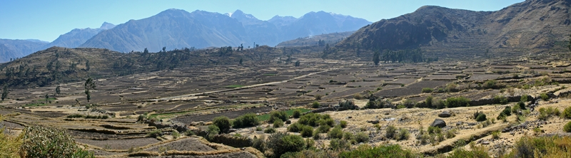Colca Panorama