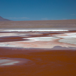 Bolivia & The Atacama