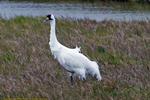 2008_01_Texas/IMG_9716
