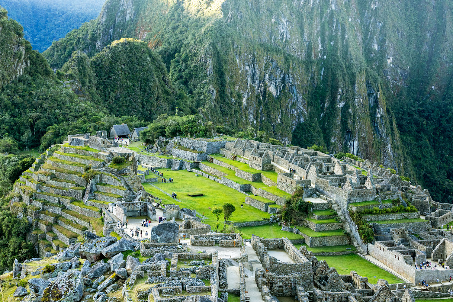 Central image